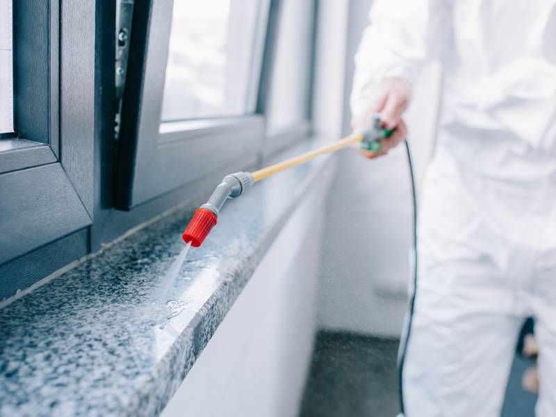 Is Commercial Pest Control Worth It?