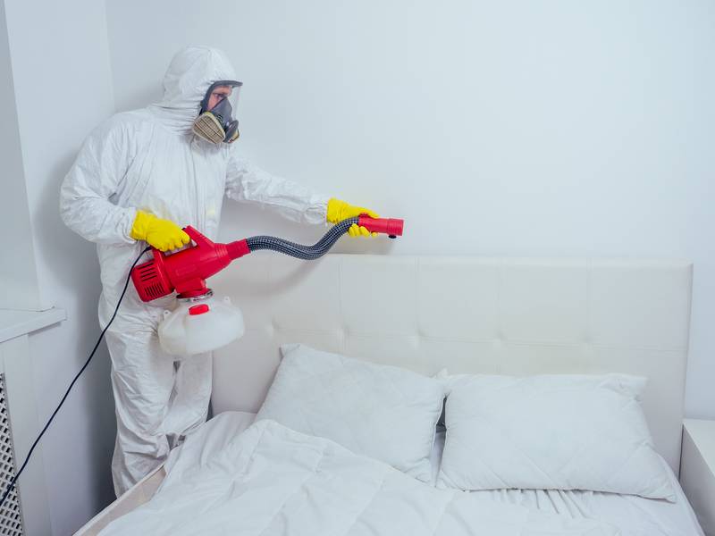 Can a Bugs in Bedroom Exterminator Help Me?