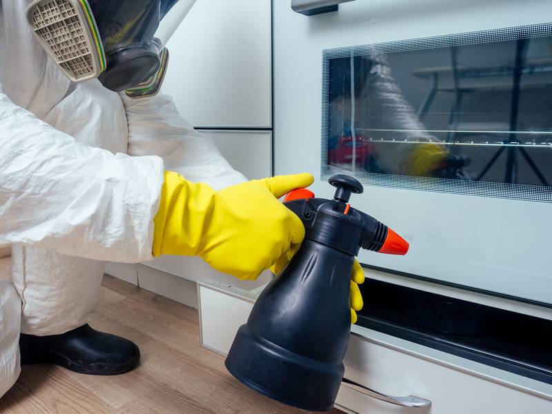 Is Home Pest Control Worth it?