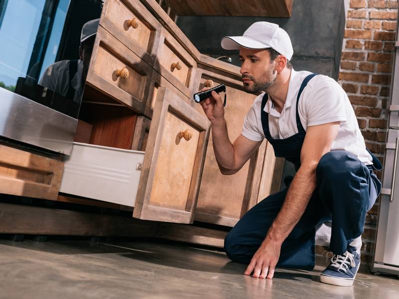 What Are the Benefits of Hiring an Exterminator Near Me?