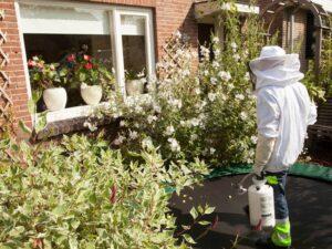 How Can a Wasp Exterminator Help Me?