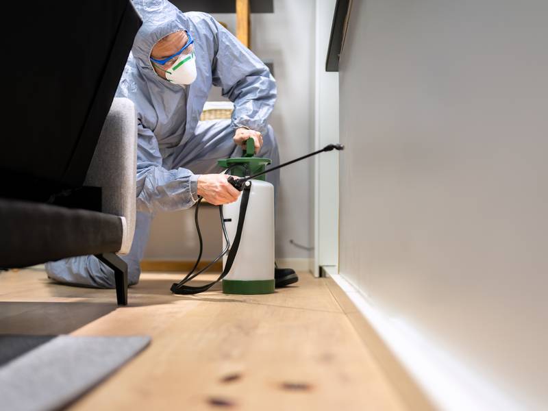 Why Should I Choose A Commercial Pest Control Company?