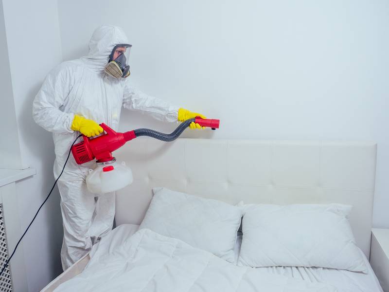 How Can I Choose The Right Bed Bug Exterminator/Pest Control Service?