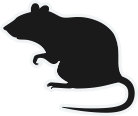 Rat, Mice, and Rodent Pest Control