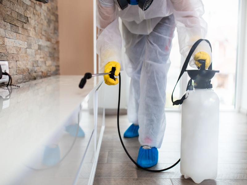 Is Every Exterminator Near Me the Same?