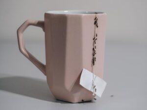 What are Signs I Need an Ant Exterminator & Pest Control?