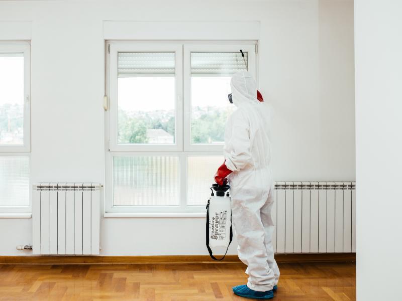 Does an Exterminator Near Me Offer Preventive Care in Northville, MI?