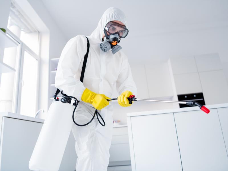 What are the Benefits of a Local Company for Pest Control Near Me?