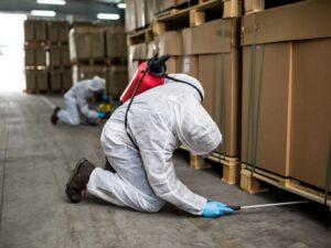 Can a Local Ant Exterminator Help Me All Year?