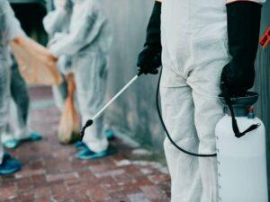 How Commercial Pest Control Protects Your Company’s Reputation