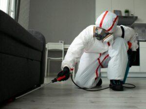 Why Professional Spider Extermination is Vital for Your Protection