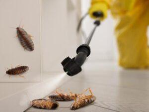 Commercial Pest Control for Livonia, MI: Protecting Your Business, Property & Bottom Line